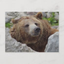 Suche nach wild lebende tiere postkarten Tragen