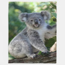 Suche nach cuddly Koala