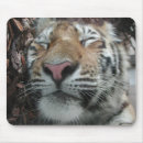 Suche nach der tigris mousepads Tiger