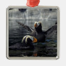 Suche nach puffin ornamente Vogelvogel