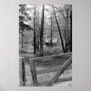 Suche nach alter baum poster Wiese