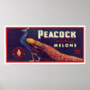 Suche nach melone poster Antike