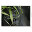 Suche nach uganda postkarten Tierwelt