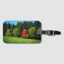 Suche nach roter baum Blattwerk