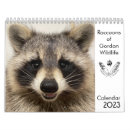 Suche nach raccoon kalender Waschbären