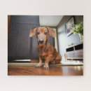 Suche nach niedliche welpen puzzle Haustiere