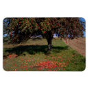 Suche nach zucht magnete Bauer