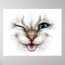 Suche nach winking poster Kätzchen