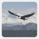 Suche nach flug aufkleber Homer