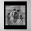 Suche nach capybara poster Lustiges wahlgeschenk