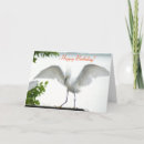 Suche nach die beste schwester der welt postkarten Geburtstag