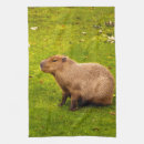 Suche nach säugetiere geschirr tücher Nagetier