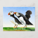 Suche nach weißer vogel postkarten Aquarell