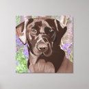 Suche nach labrador retriever leinwandbilder Schokolade