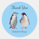 Suche nach pinguine hochzeiten Verlobung