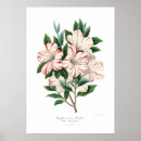 Suche nach indica poster Blume