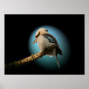 Suche nach scheinwerfer poster Blau
