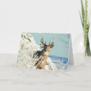 Suche nach weißer schwanz karten Winter