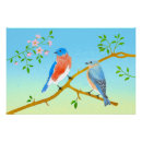 Suche nach blauer vogel poster Blaue vögel