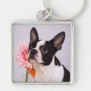 Suche nach boston terrier schlüsselanhänger Rosa