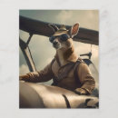 Suche nach flugzeug flyer Fliegen