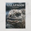 Suche nach galapagos postkarten Reise