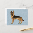 Suche nach deutscher schaferhund postkarten Gsd