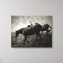 Suche nach weißes pferde leinwandbilder Schwarzes