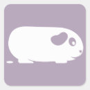 Suche nach meerschweinchen aufkleber Cavy
