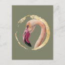 Suche nach tropische tiere postkarten Aquarell