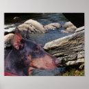 Suche nach doberman poster Haustier