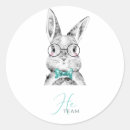 Suche nach bunnie Hase