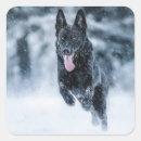 Suche nach wolf im schnee aufkleber Hunde
