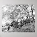 Suche nach weißer baum poster Licht