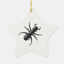 Suche nach ameisen ornamente Tier