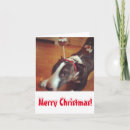 Suche nach bullterrier karten Weihnachten