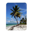 Suche nach punta cana magnete Palmen
