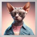 Suche nach sphynx cat poster Niedlich