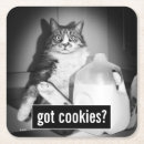 Suche nach witze untersetzer Katze