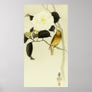 Suche nach songbird poster Wandkunst