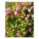 Suche nach blüte fotodruck Blume