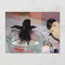 Suche nach öle postkarten Niedlich