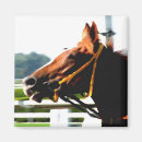 Suche nach race magnete Pferd
