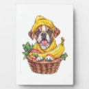 Suche nach boxer fotoplatten Welpe