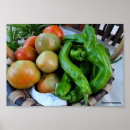 Suche nach paprika poster Fotografie