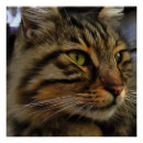 Suche nach langes poster Kitschig