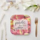 Suche nach pfirsich teller Obst