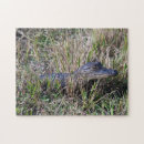 Suche nach alligator puzzle Reptil