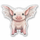 Suche nach flying pig aufkleber Rosa