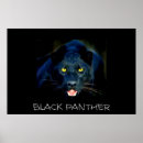 Suche nach black panther poster Animals